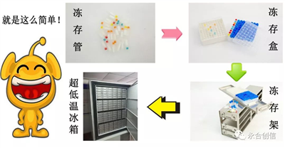 樣本凍存解決方案之凍存架、凍存盒、凍存管