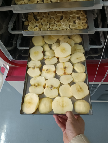 使用化妝品凍干機(jī)對(duì)面膜進(jìn)行凍干具體有哪些步驟？