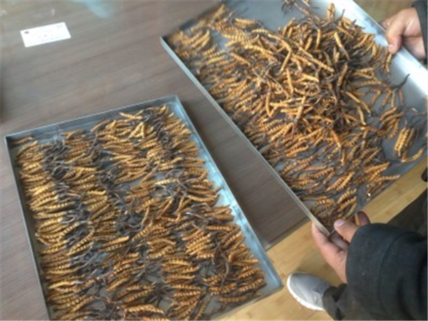 制藥凍干機(jī)中的加熱系統(tǒng)的作用是什么？