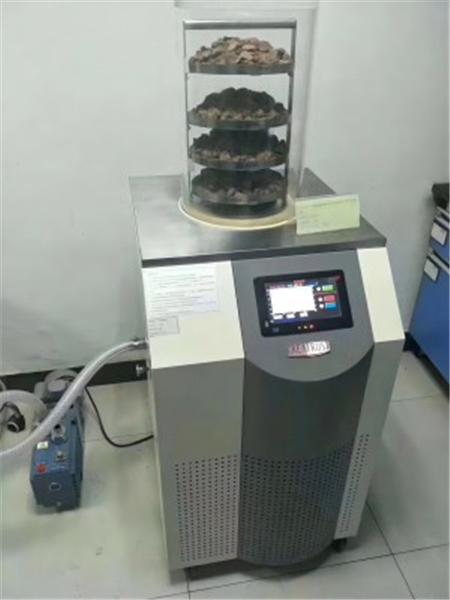 小型真空冷凍干燥機(jī)的常見故障及解決方法